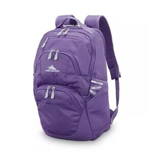 High Sierra Swoop SG Backpack for 17" Laptop Light Purple NEW